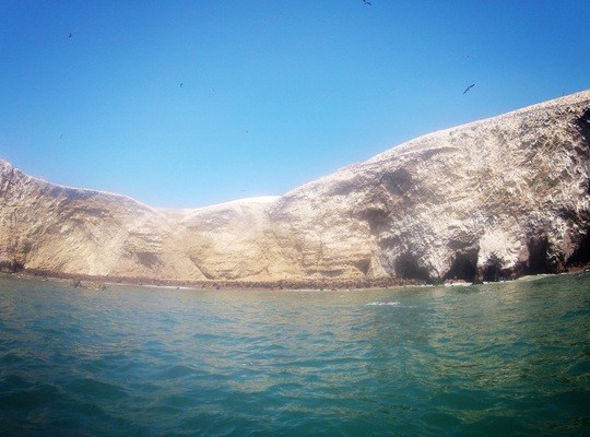 Baie des lions de mer, Iles Ballestas