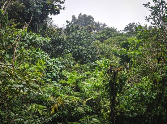 Au milieu de la jungle du Nicaragua