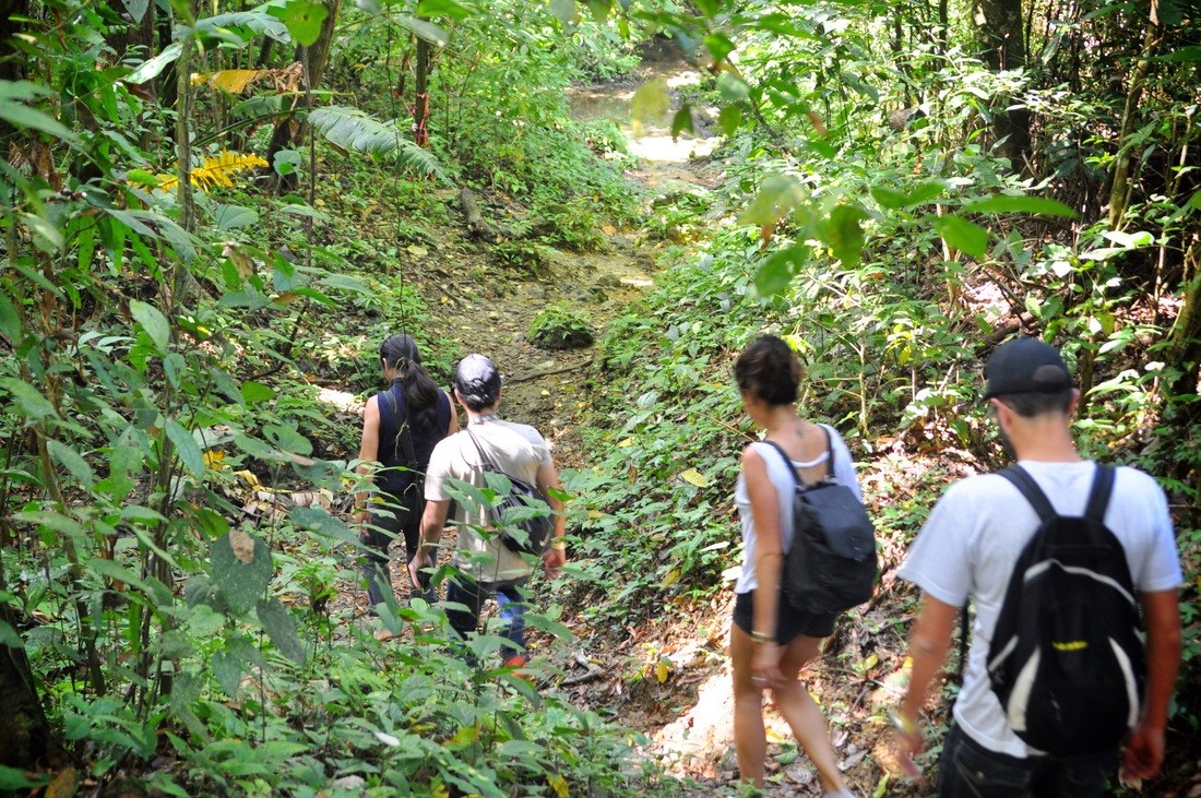 Promenade dans la jungle du Chiapas