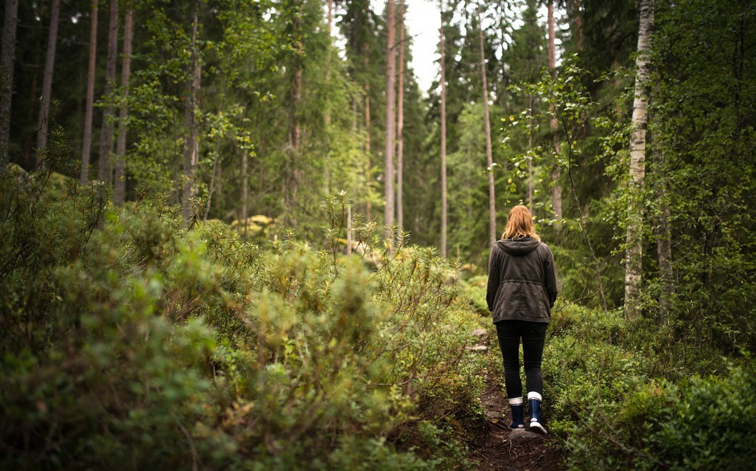 Balade dans la forêt Finlandaise