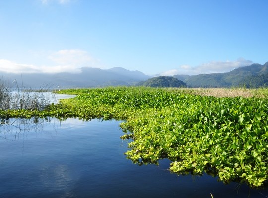 Honduras. Lago de Yojoa