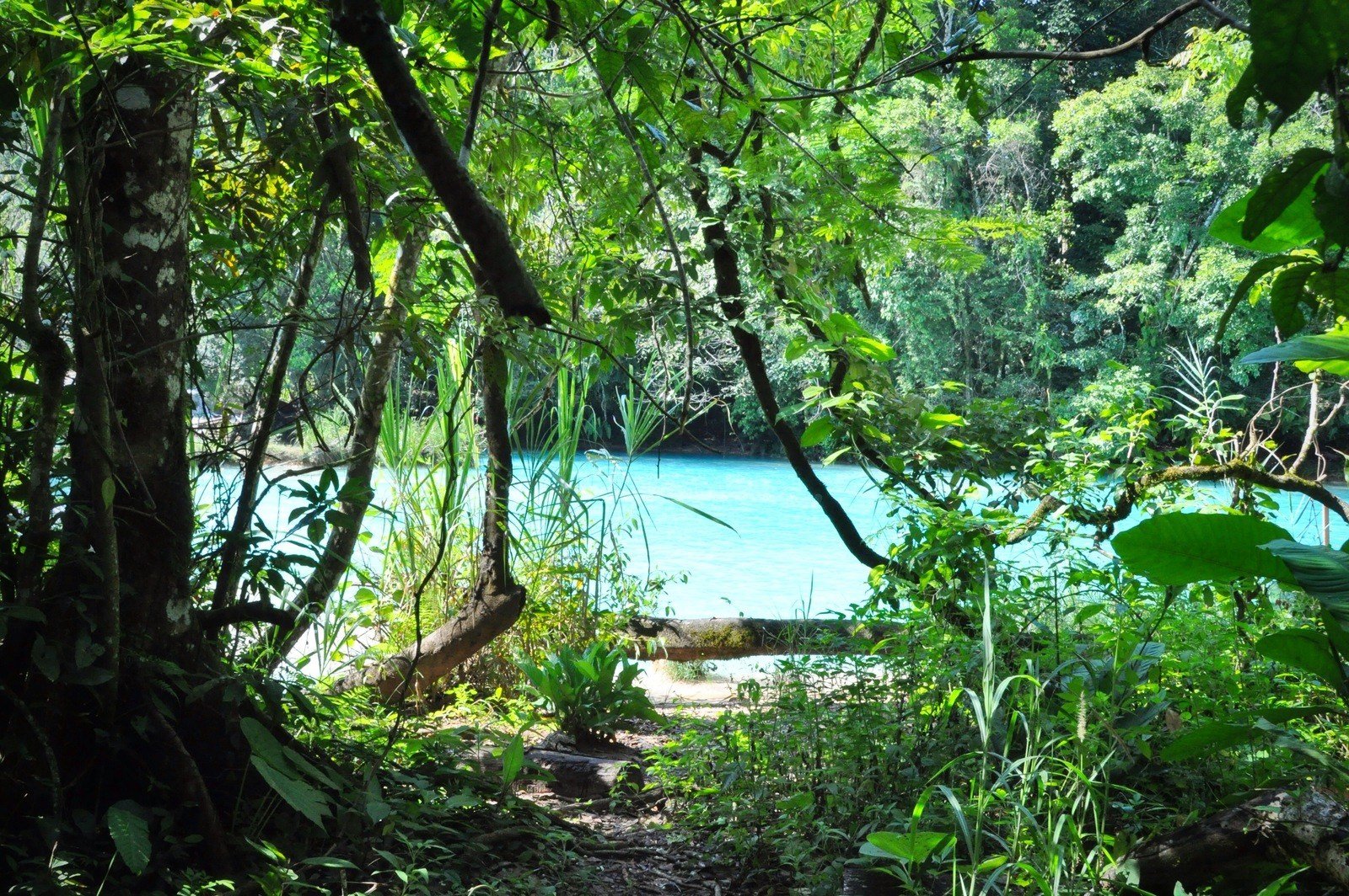 Arrivée à la rivière d'Agua Azul