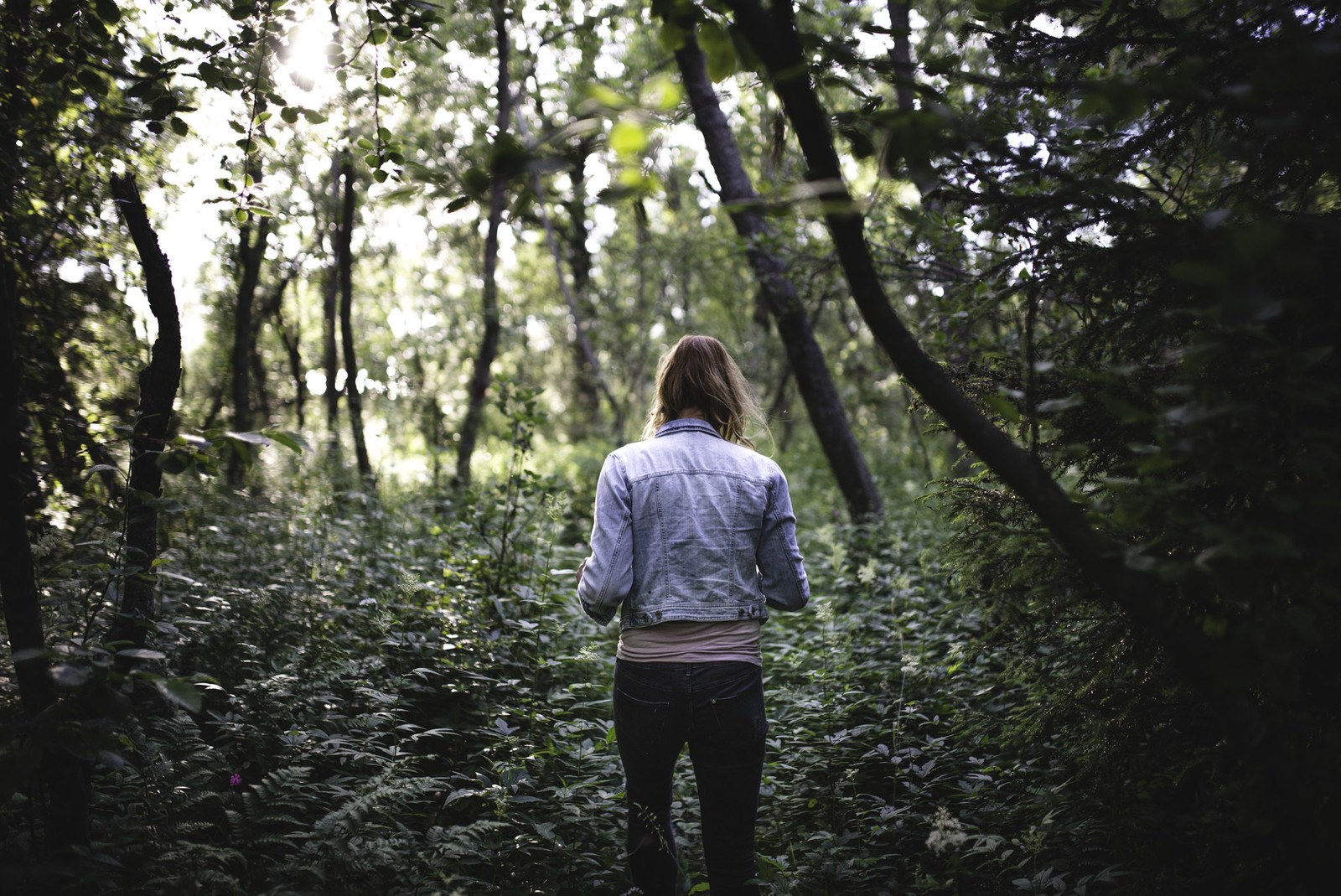 S'engouffrer dans les bois 