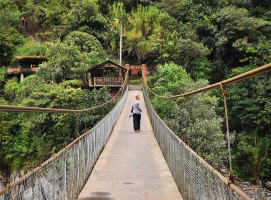 Pont de singe à Banos