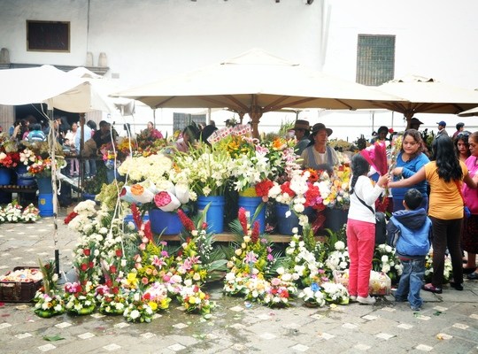 Marché aux fleurs de Cuenca