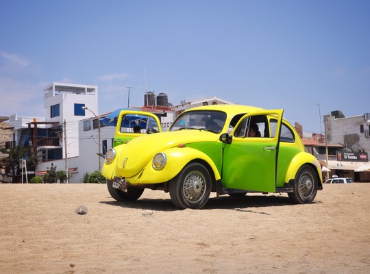 La coccinelle au Pérou