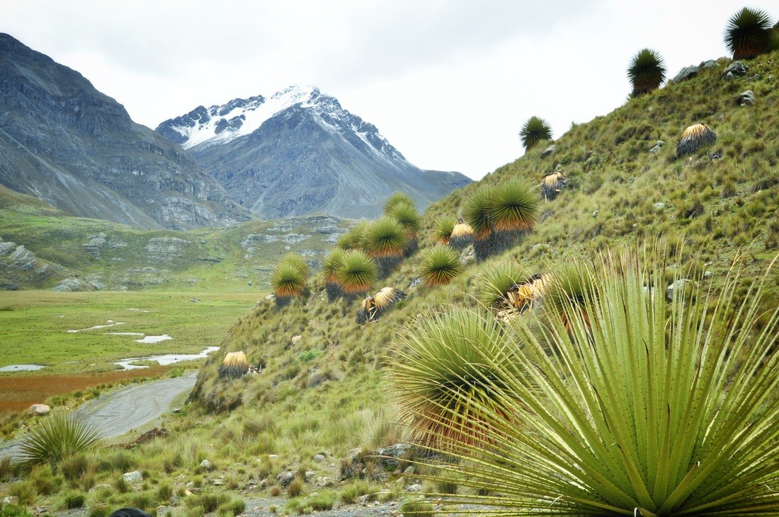 Paysages typiques des Andes