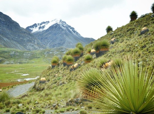 Paysages typiques des Andes