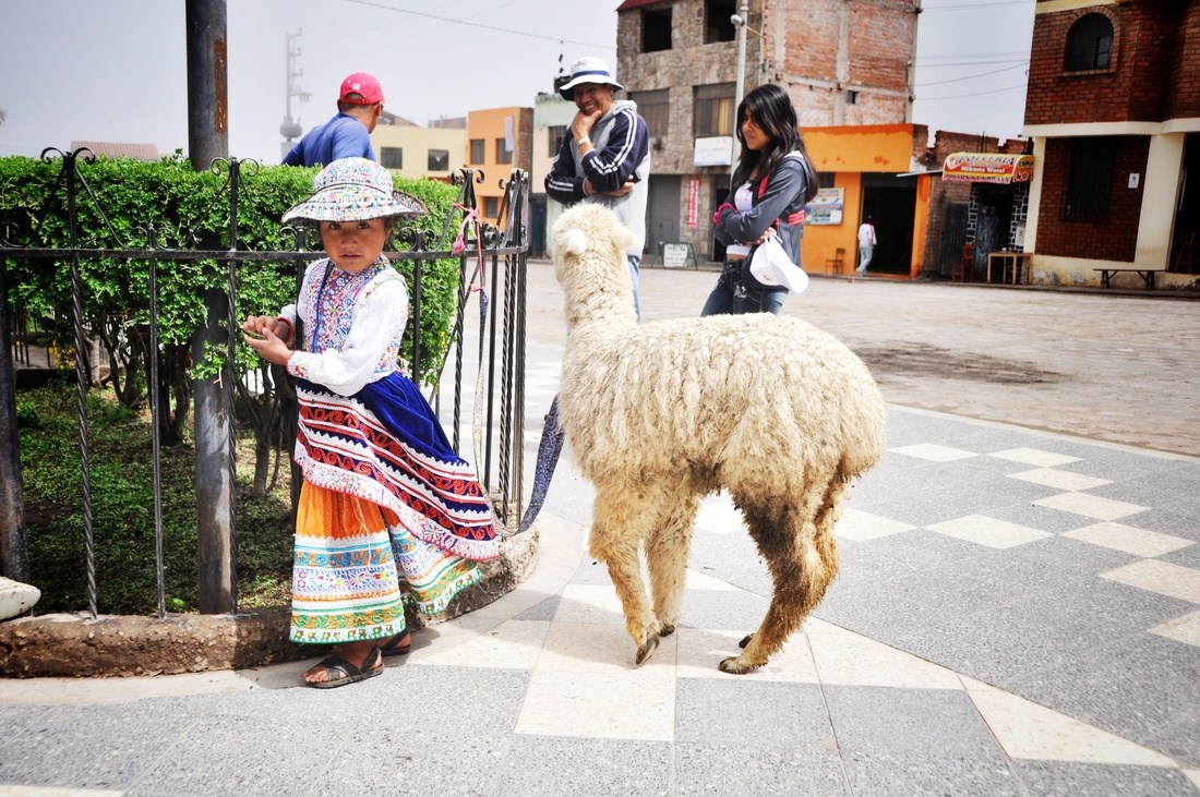 Petite péruvienne et son lama, Cabanaconde