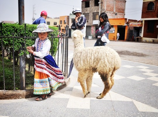 Petite péruvienne et son lama, Cabanaconde