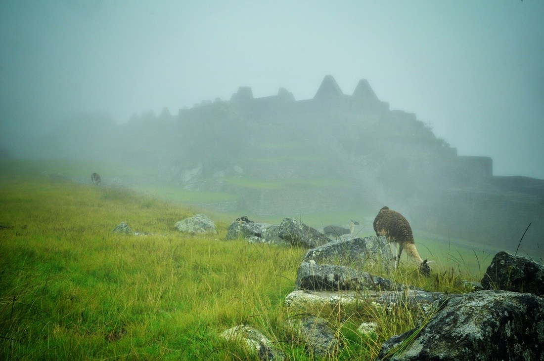 Brouillard sur le Machu Picchu