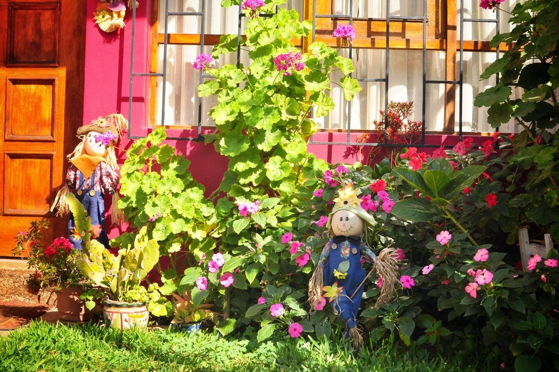 Joli jardin à Valparaiso