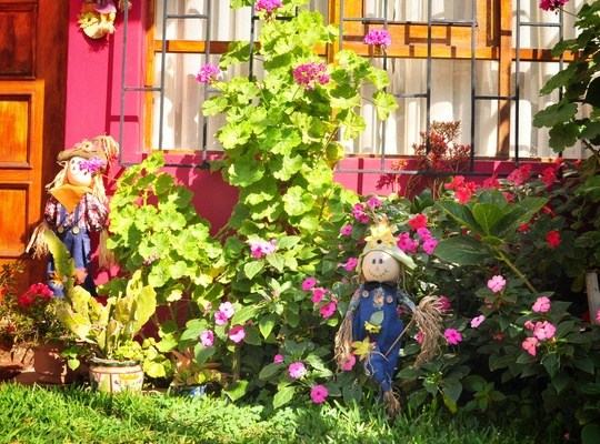 Joli jardin à Valparaiso