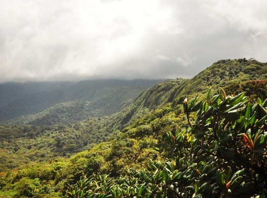 Paysages de Monteverde au Costa Rica