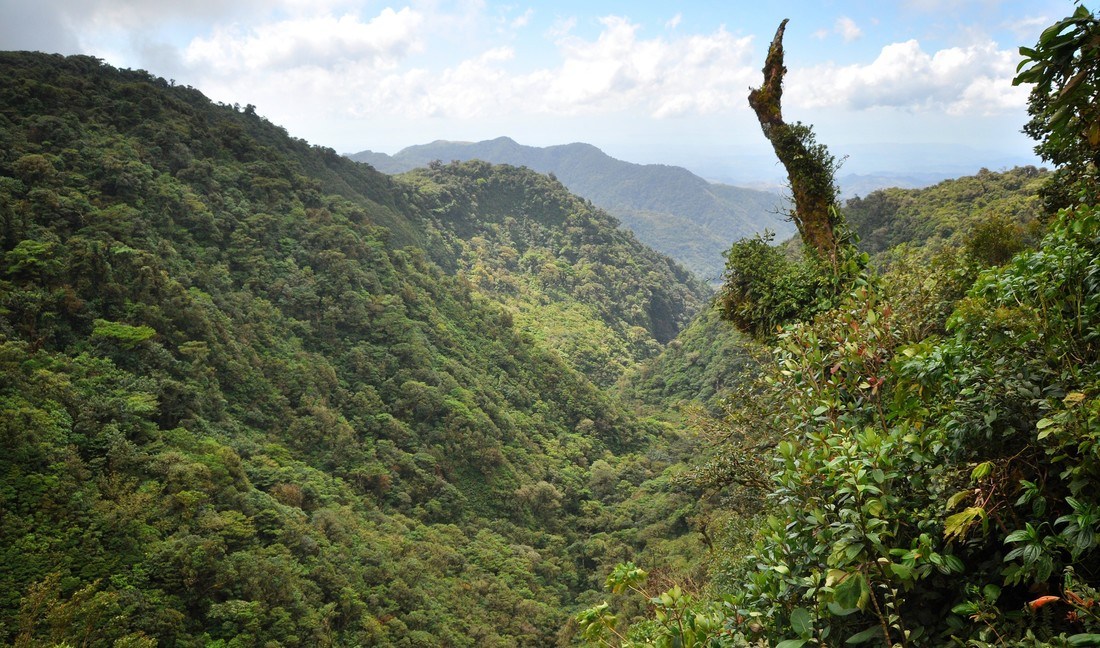 Montagnes vertes du Costa Rica