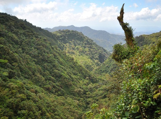 Montagnes vertes du Costa Rica