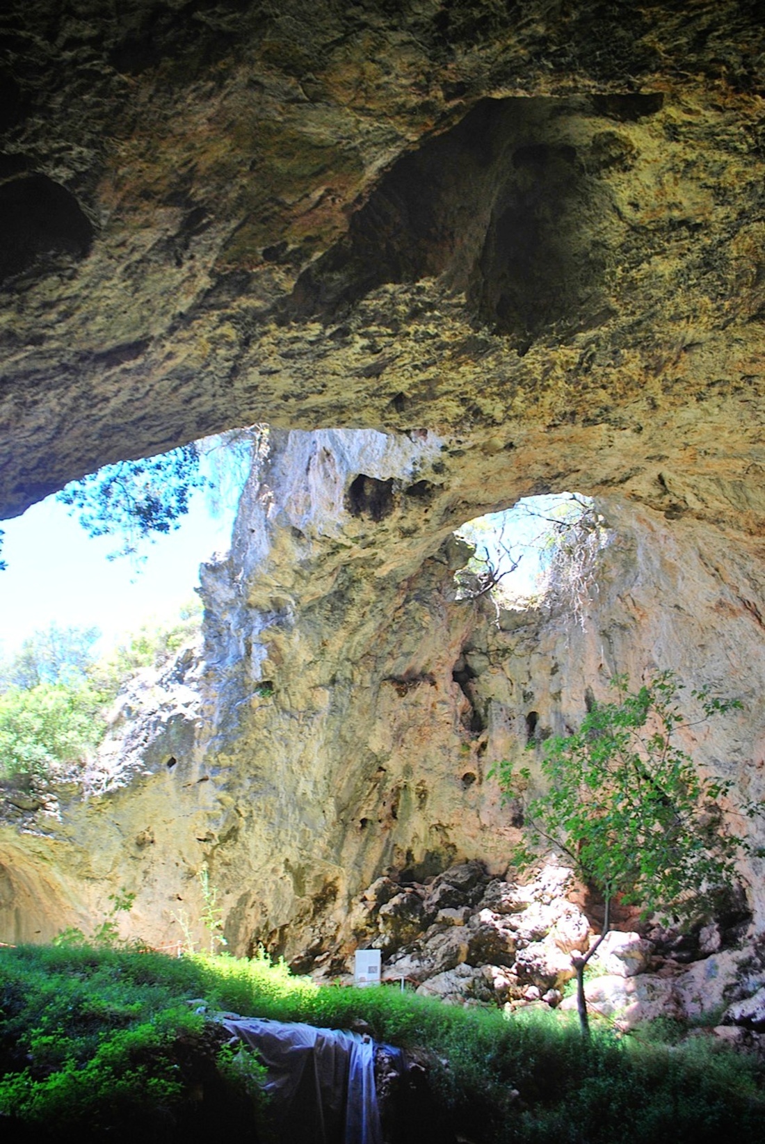 Vela Spilja, grotte de Korcula