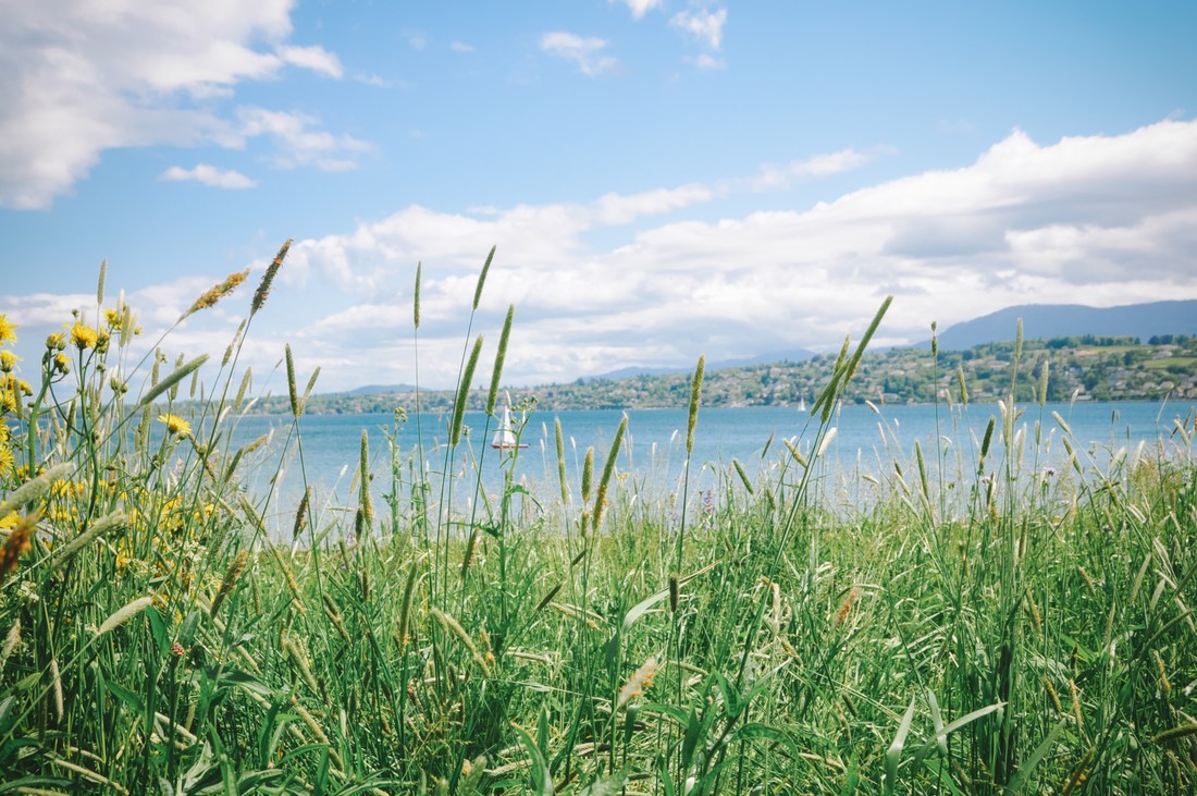 Nature autour du lac Léman