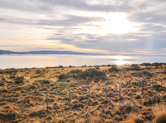 Patagonie, vers Perito Moreno