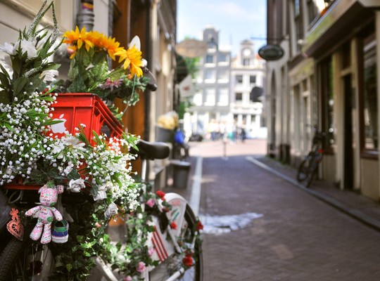 Vélo décoré, Amsterdam