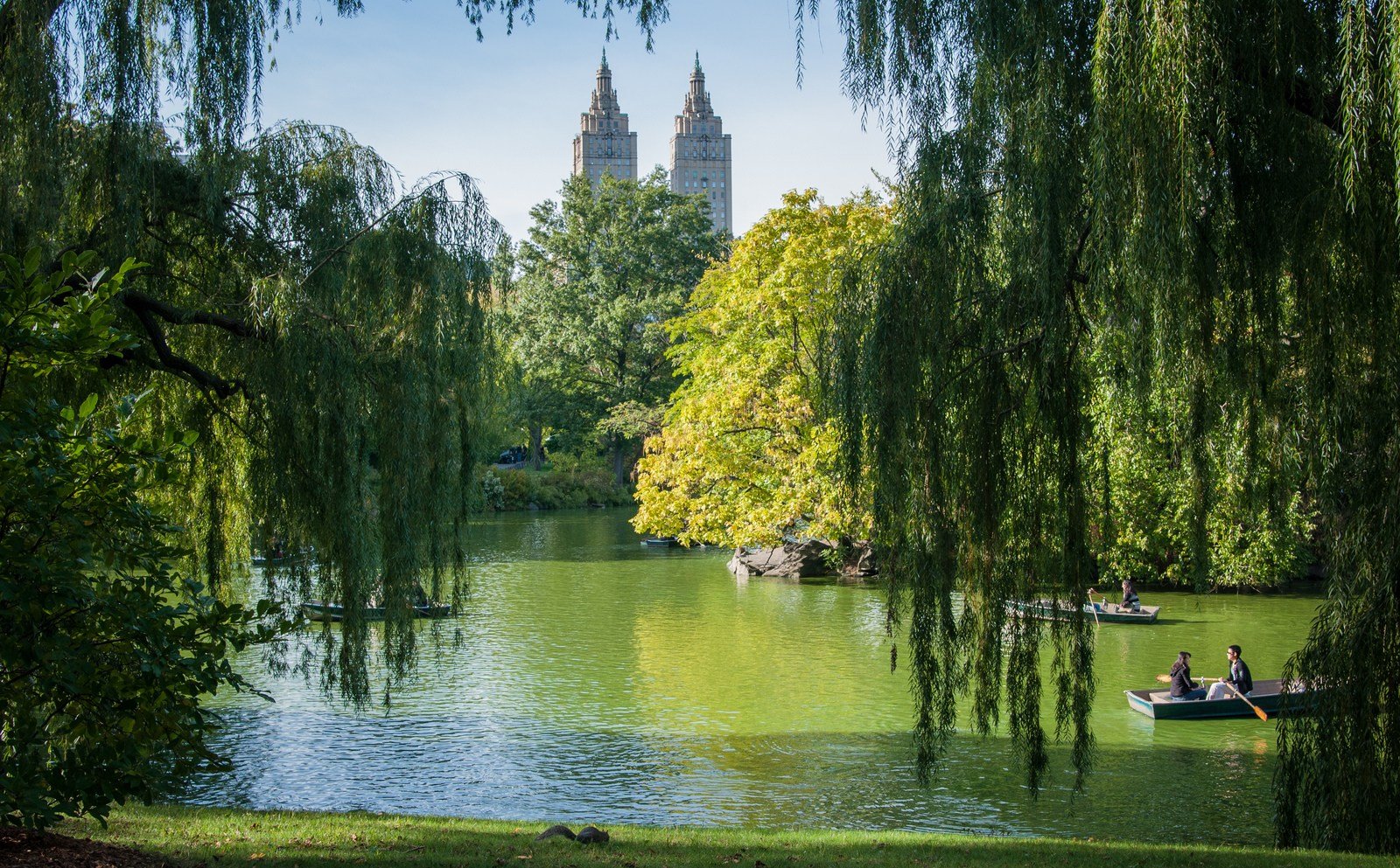 Faire de la barque à Central Park Faire de la barque à Central Park