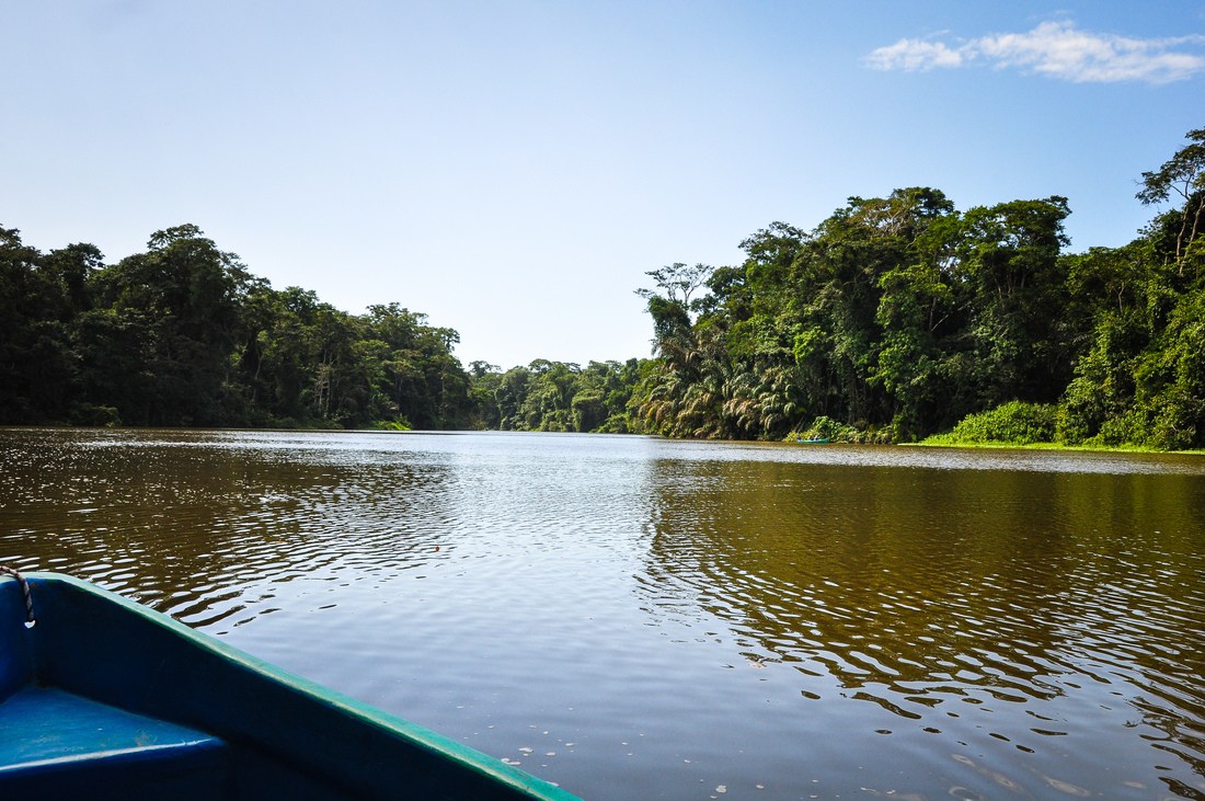 Découvrir la faune de la rivière Tortuguero