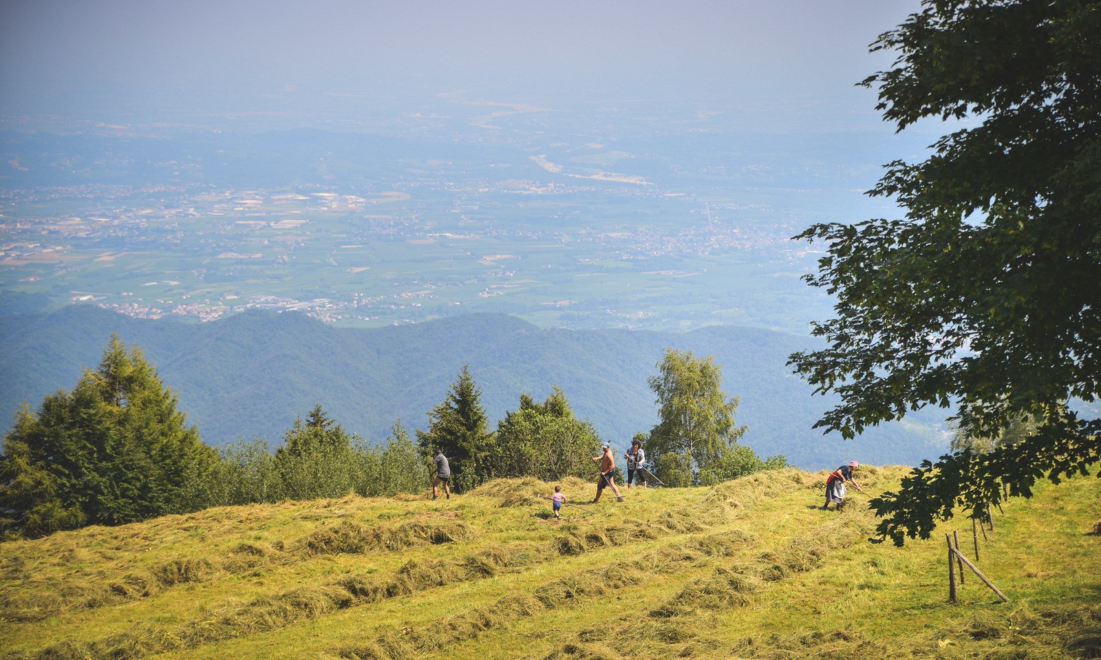 Famillle au travail à coté de Valdobbiadene Famillle au travail à coté de Valdobbiadene