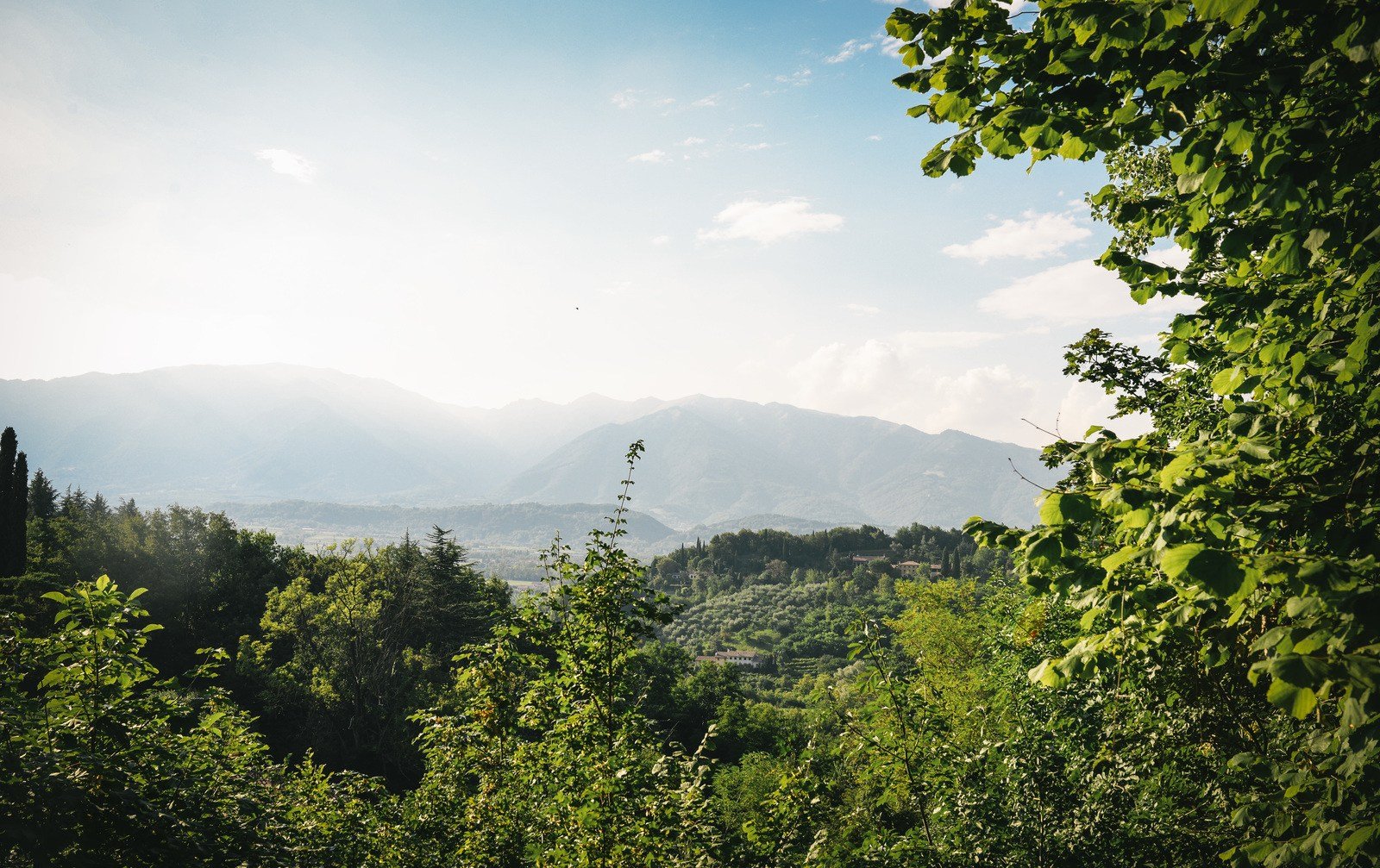 Sur la route vers Bassano del Grappa Sur la route vers Bassano del Grappa