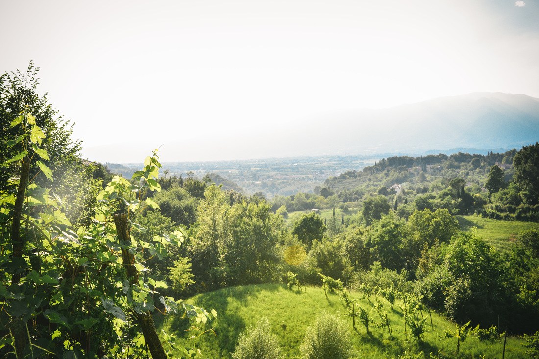 Vue panoramique depuis Asolo