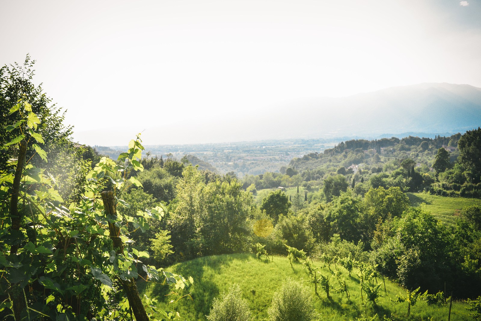 Vue panoramique depuis Asolo Vue panoramique depuis Asolo