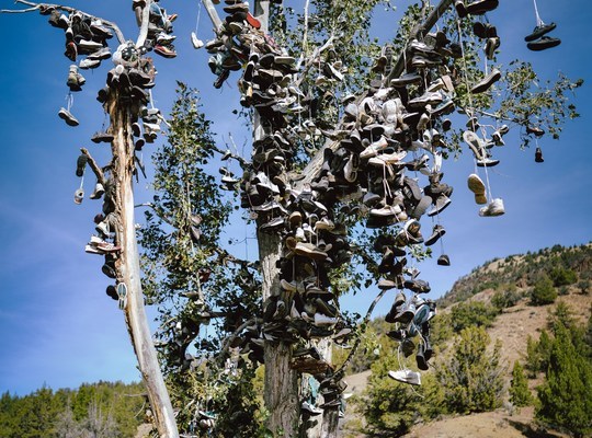 Chaussures suspendues à un arbre aux USA