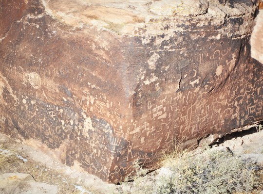 Pétroglyphes du Parc Petrified Forest