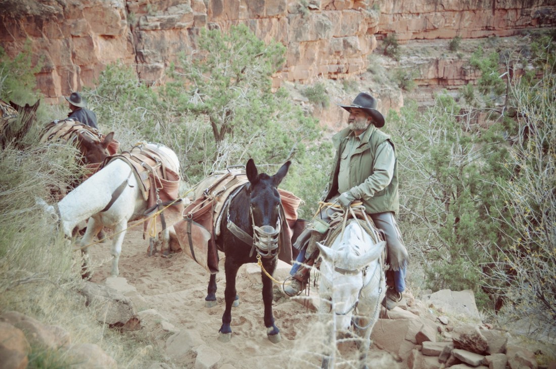 Grand canyon Cowboys