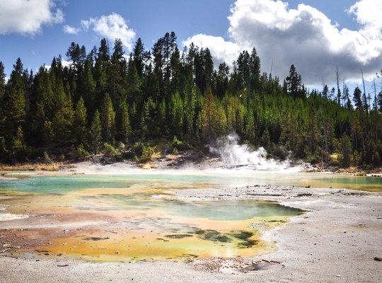 Porcelain Basin, Norris Geyser