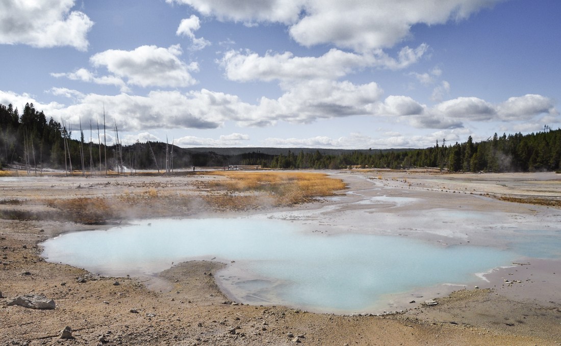 Hot Spring, Norris Geyser Basin