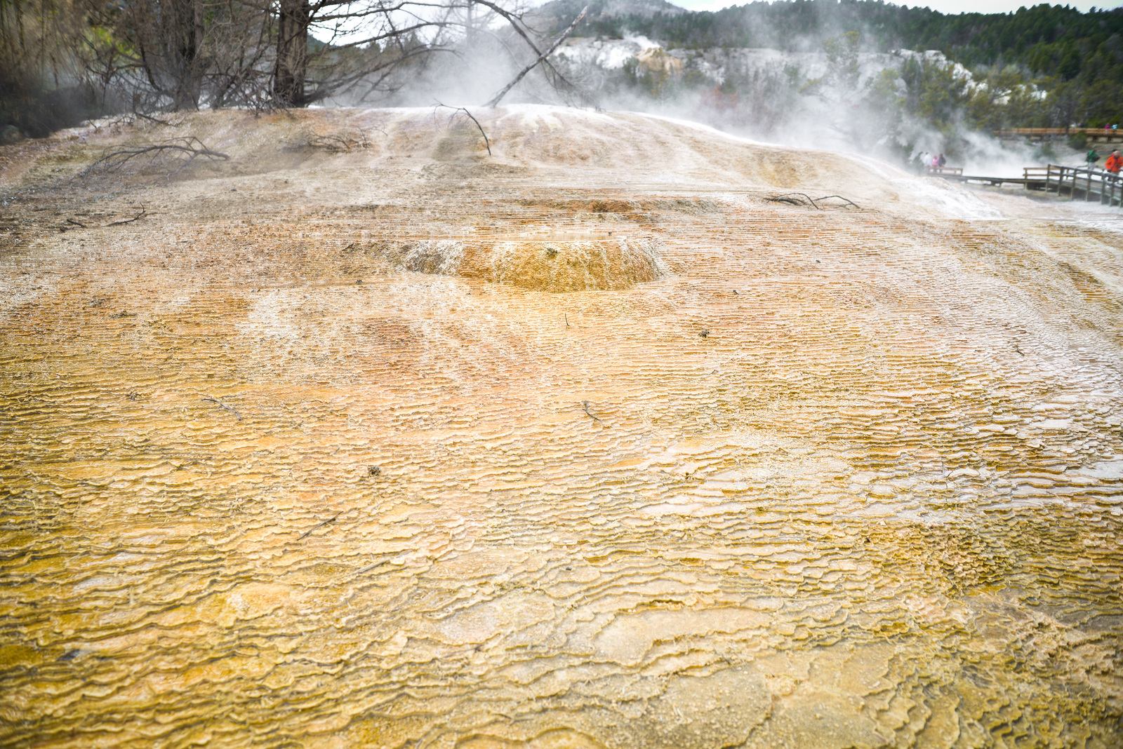 Cascade dorée  Cascade dorée