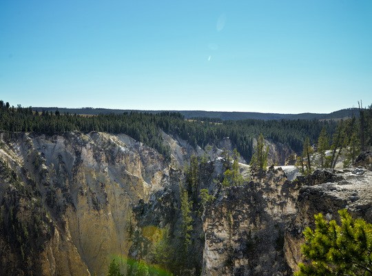 Canyon de Yellowstone depuis North Rim Drive