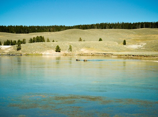 Elk Antler Creek