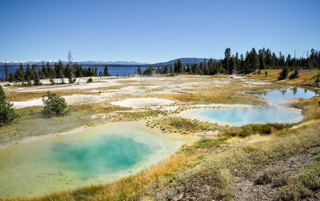 West thumb pools