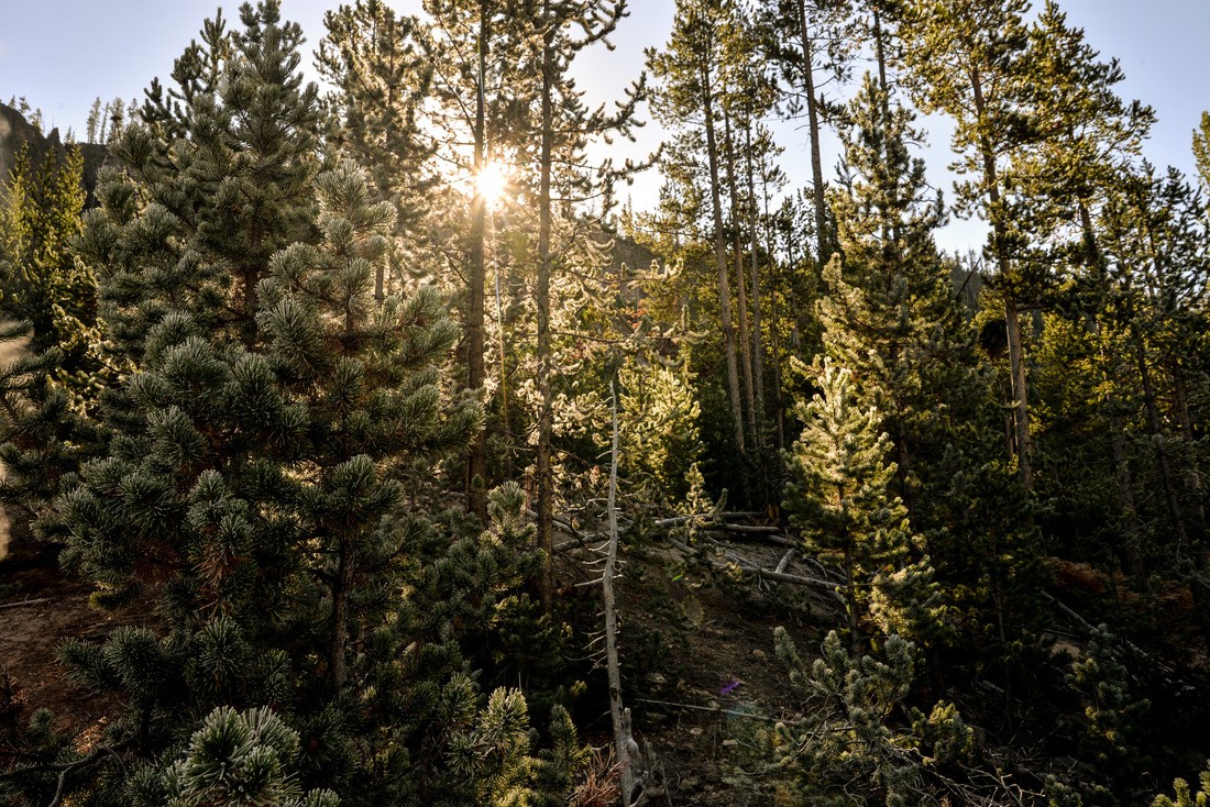 Cache cache avec le soleil