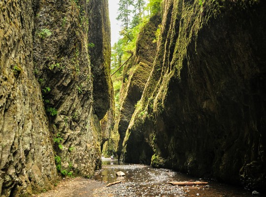 Chemin pour rejoindre les Oneonta Falls