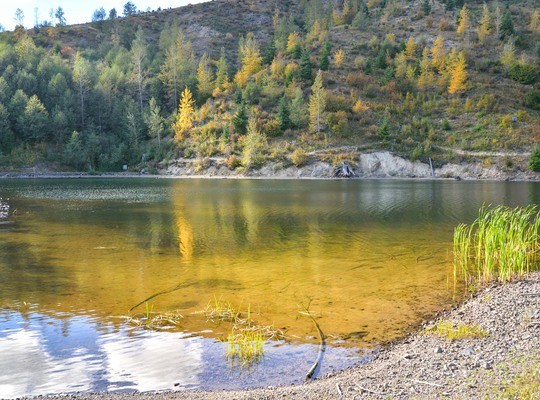 Rives de Coldwater Lake