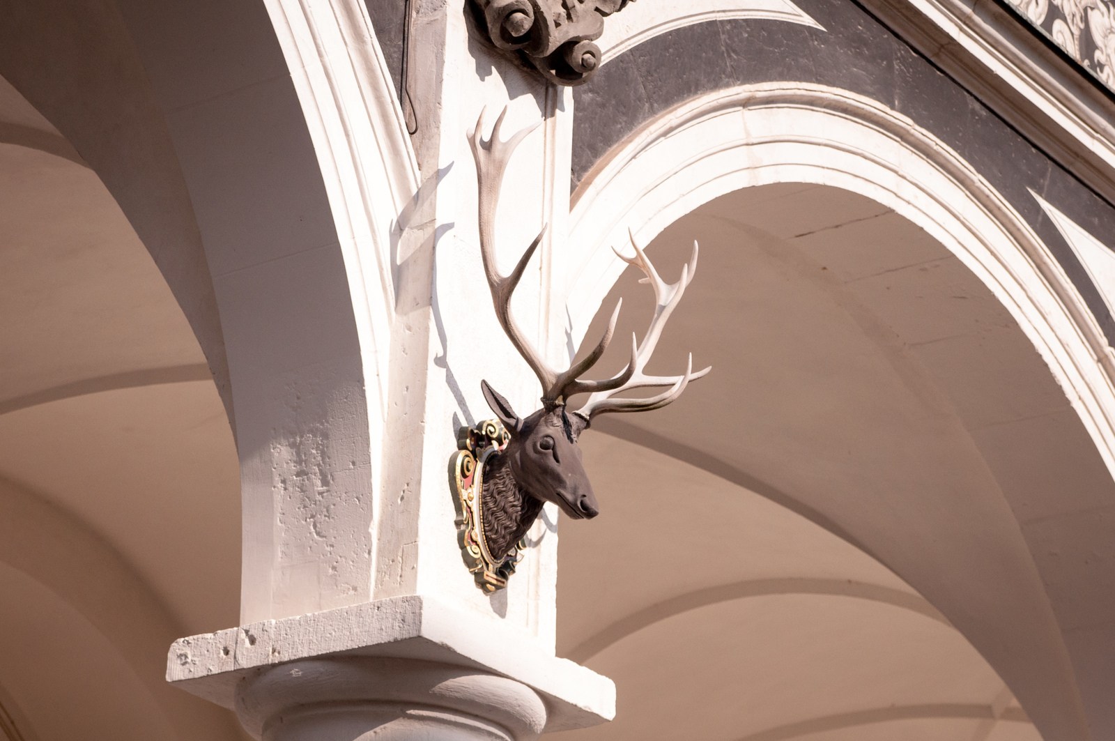 Cour de l'écurie Cour de l'écurie
