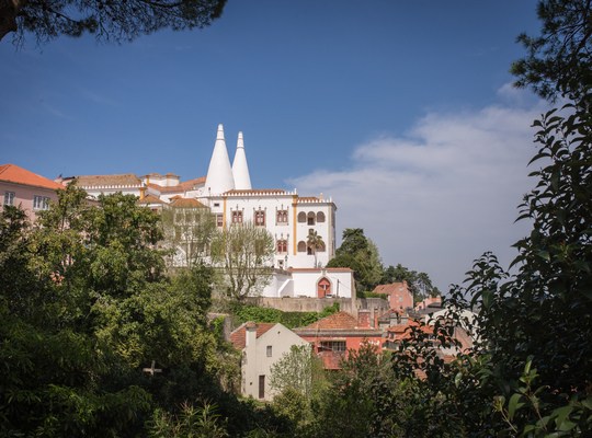 Le Palais de Sintra 
