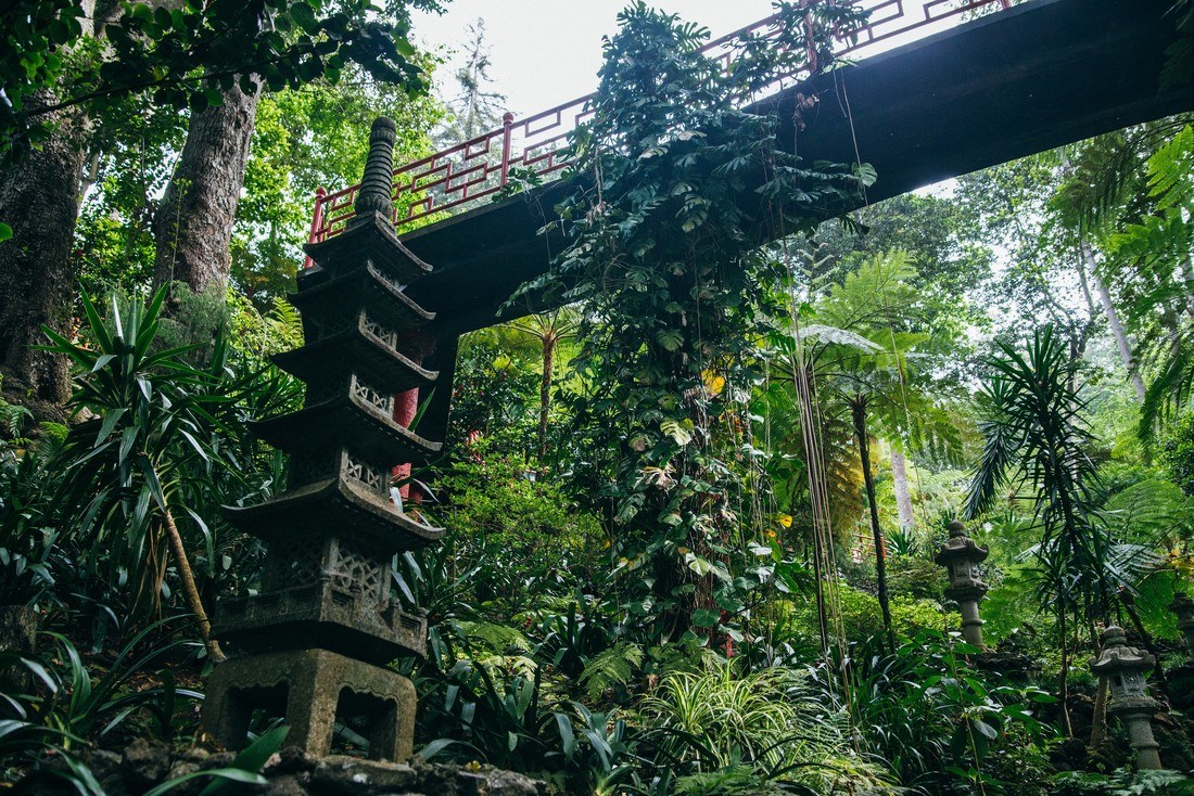 Jardin Tropical de Funchal à Madère