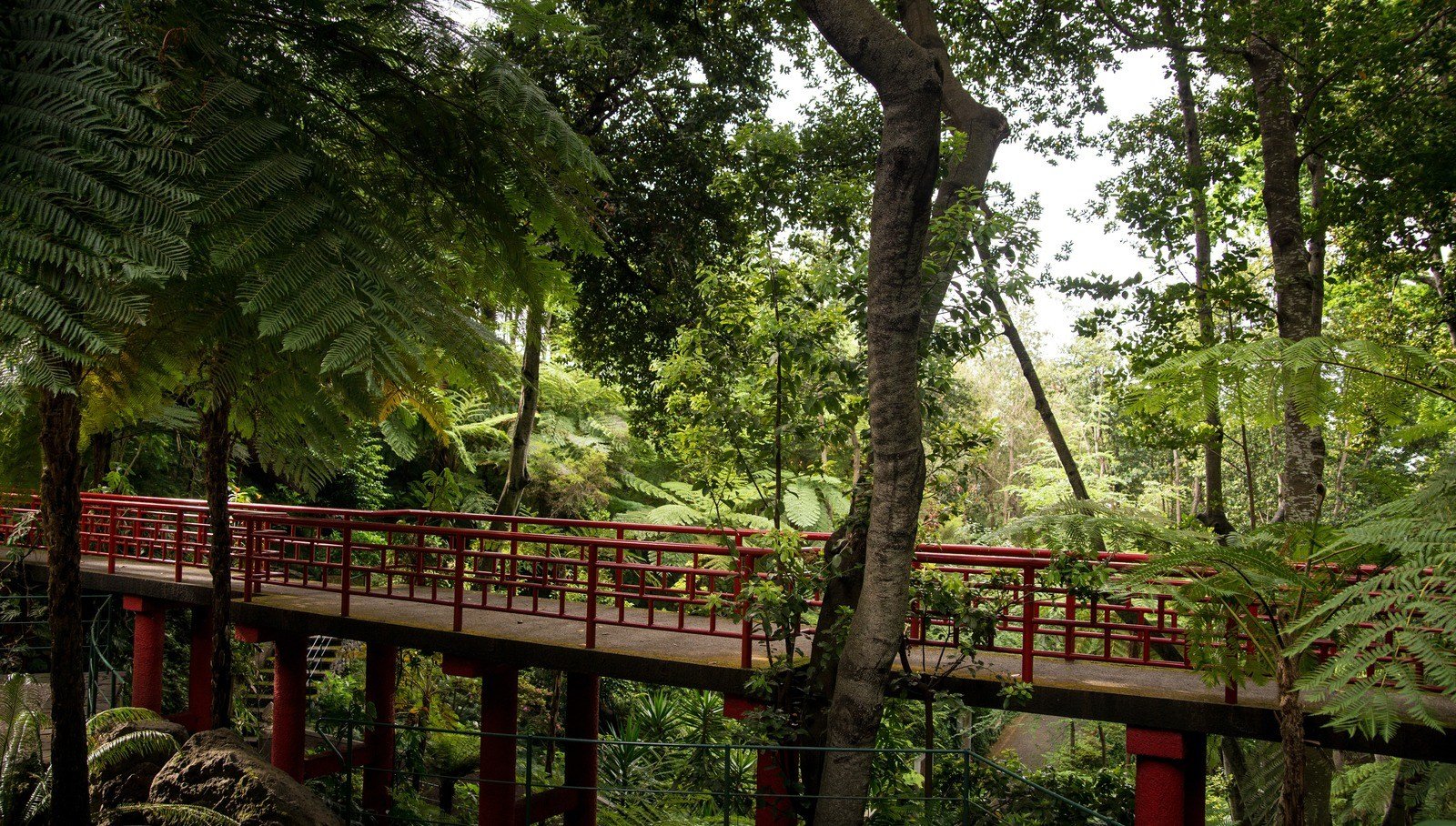 En plein coeur du Jardin Tropical En plein coeur du Jardin Tropical
