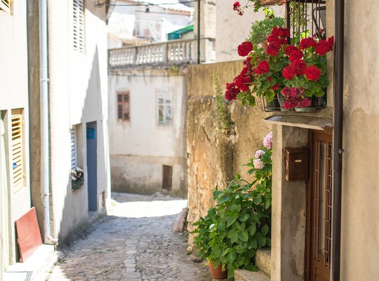 Les ruelles sont fleuries