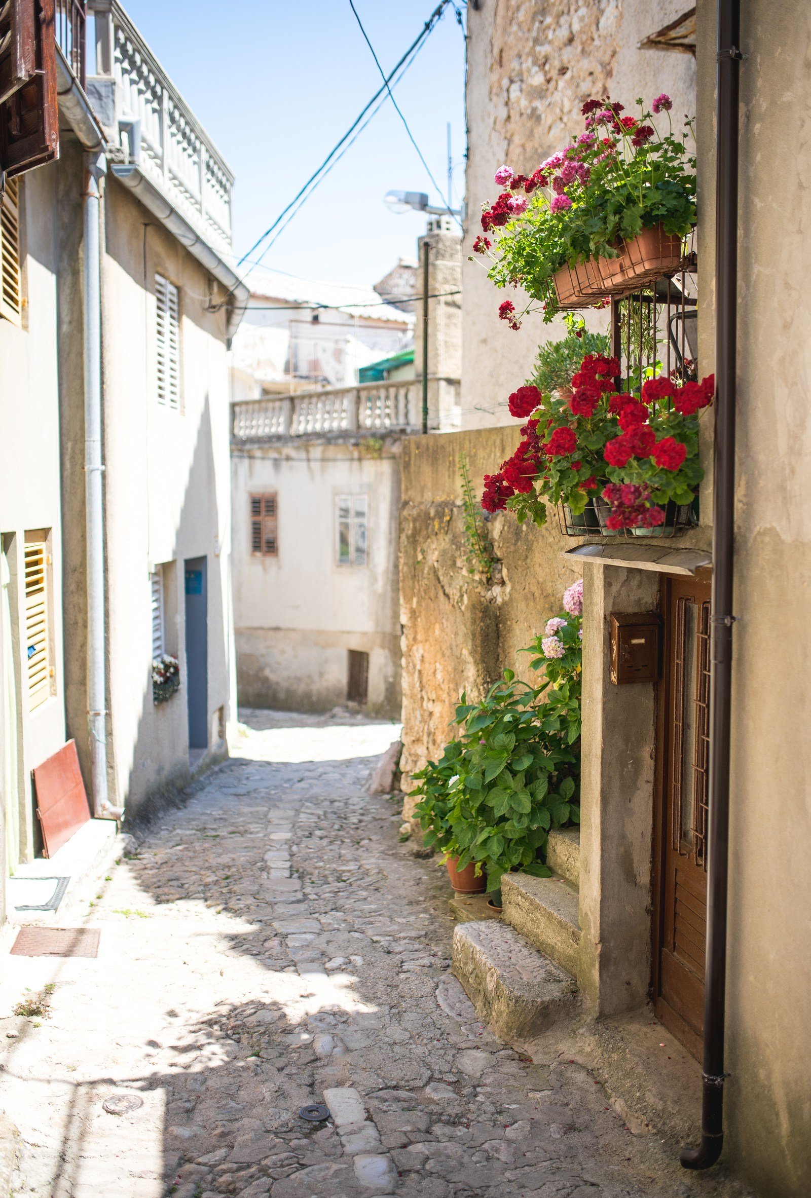 Les ruelles sont fleuries Les ruelles sont fleuries