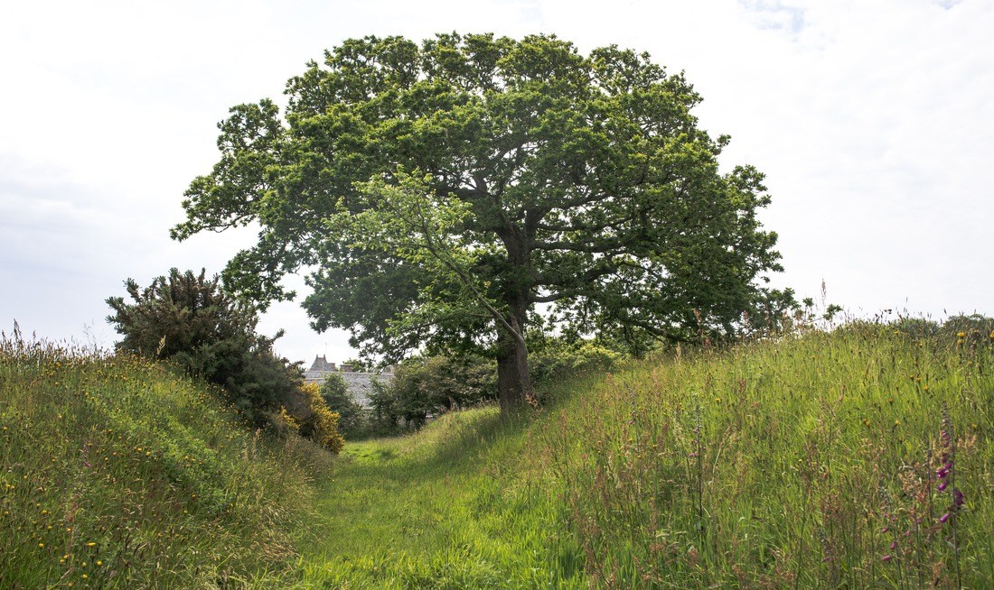 Nature normande 