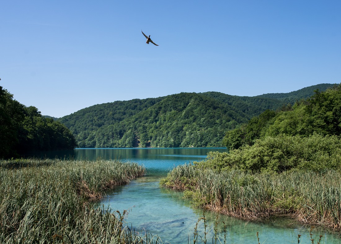 Le calme des lacs de Plitvice